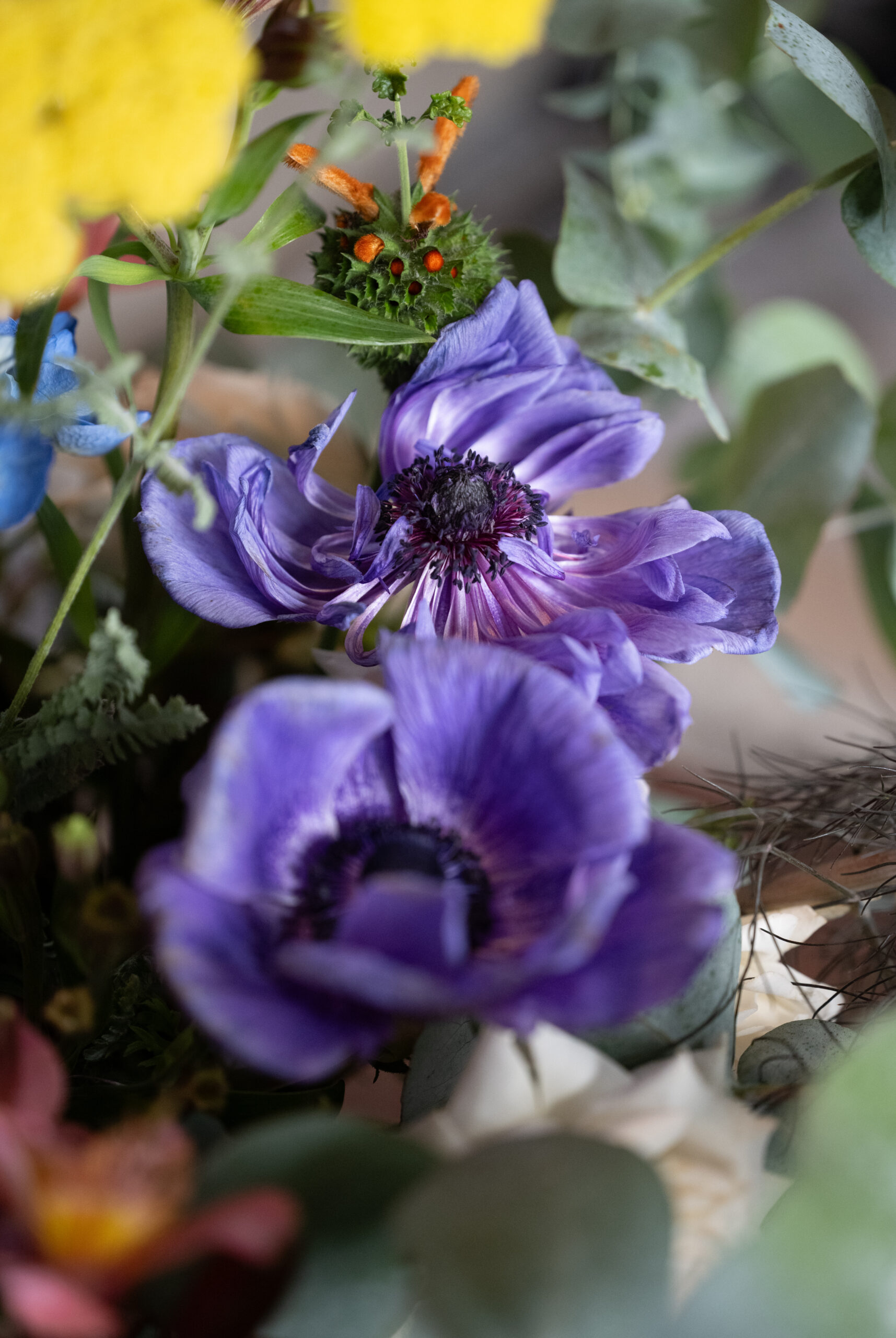 The world edits, God rewilds.